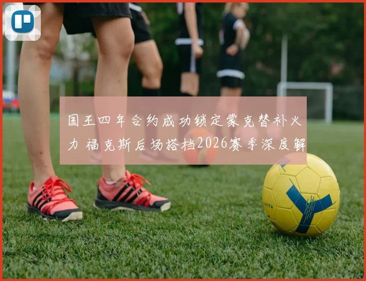 国王四年合约成功锁定蒙克替补火力 福克斯后场搭档2026赛季深度解析