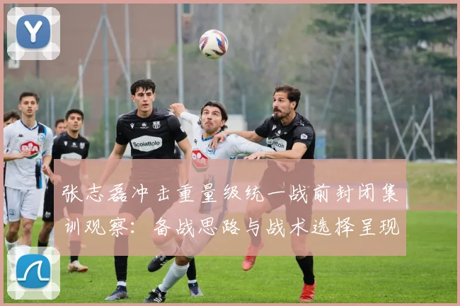 张志磊冲击重量级统一战前封闭集训观察：备战思路与战术选择呈现三大变化